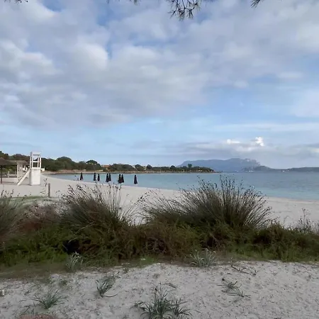 Maison d'hôtes The Olbia