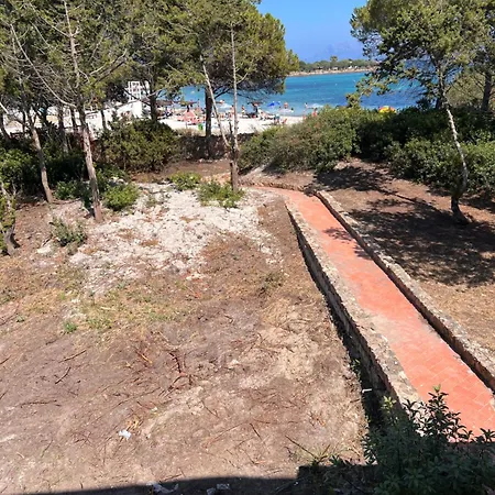 Guest house The Olbia