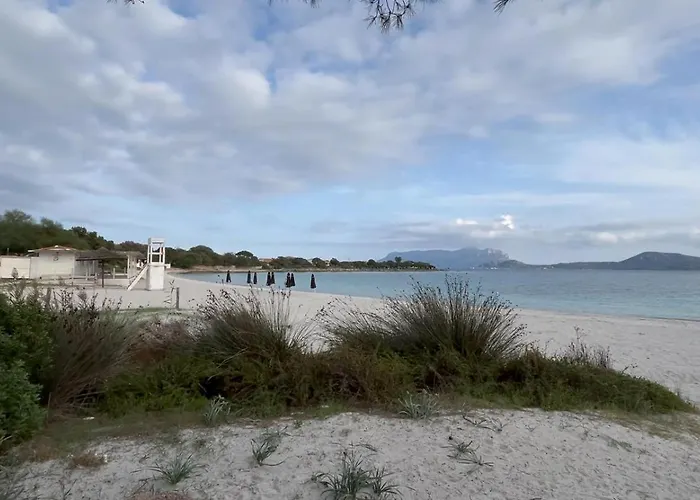 Гостевой дом The Ольбия